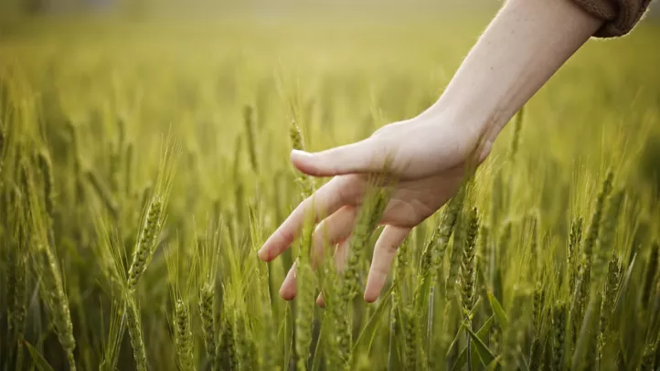 272788_3840x2160 272788_3840x2160